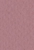 Бумага для пастели А4 TIZIANO 160 г, серо-фиолетовый