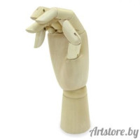 Модель `рука`, 25 см, женска правая