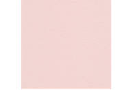 LANA Бумага для пастели  50х65 160г розовый кварц