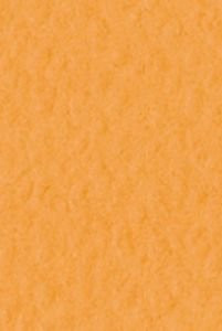 Бумага для пастели 50х65 см, TIZIANO 160 г, оранжевый