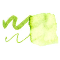 LYRA Aqua Brush Duo - двойной фломастер с эффектом рисунка кистью, яблочно-зеленый