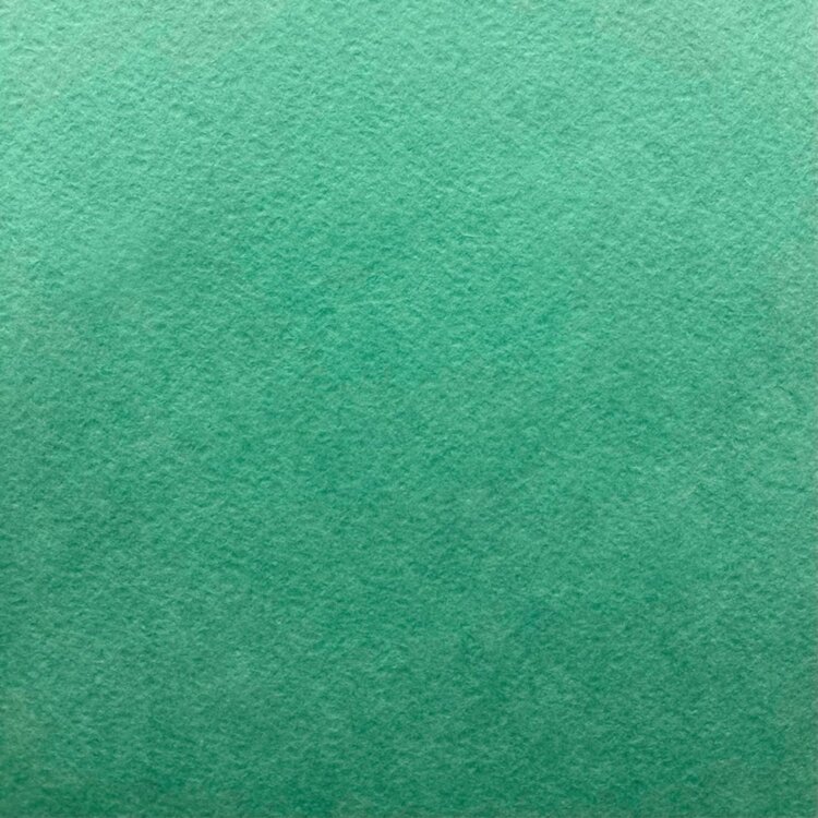 Бумага рисовальная "Зеленая", 600х840, 200 г/м2 Бумага рисовальная "Зеленая", 600х840, 200 г/м2