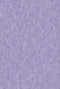 Бумага для пастели А4 TIZIANO 160 г, ирис