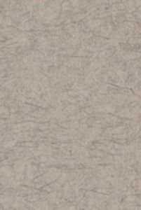 Бумага для пастели 70х100 Tiziano 160 г /серый холодный