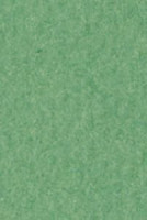 Бумага для пастели А4 TIZIANO 160 г, зеленая